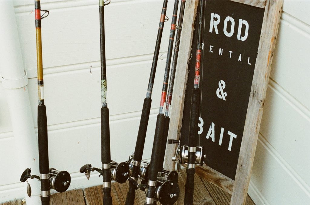 fishing rods reels bait 